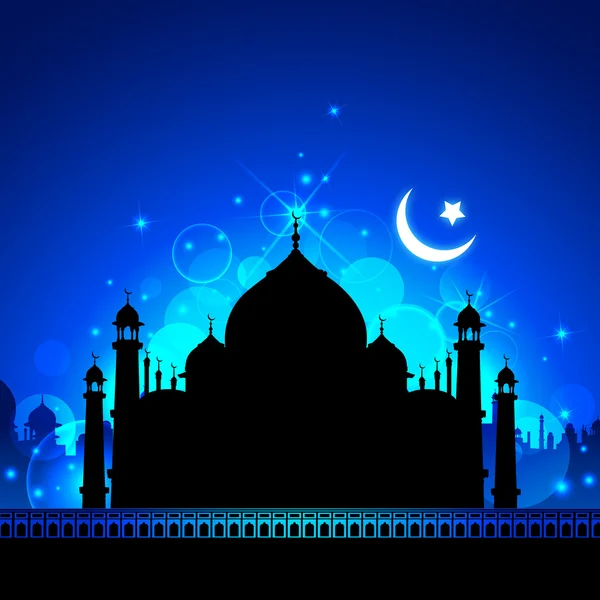 Taj Mahal at Night — Stock Vector