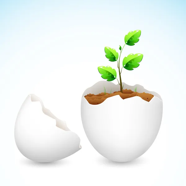 Sapling crescendo em Egg Shell — Vetor de Stock