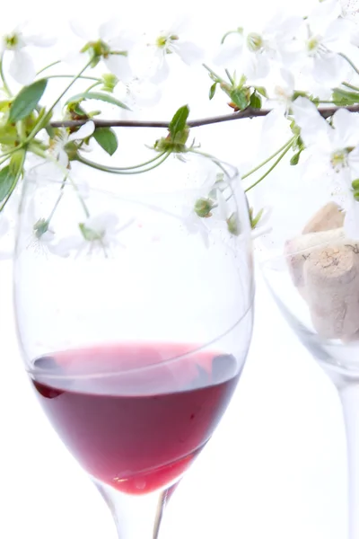 赤ワインと枝のりんごの木のガラス — ストック写真