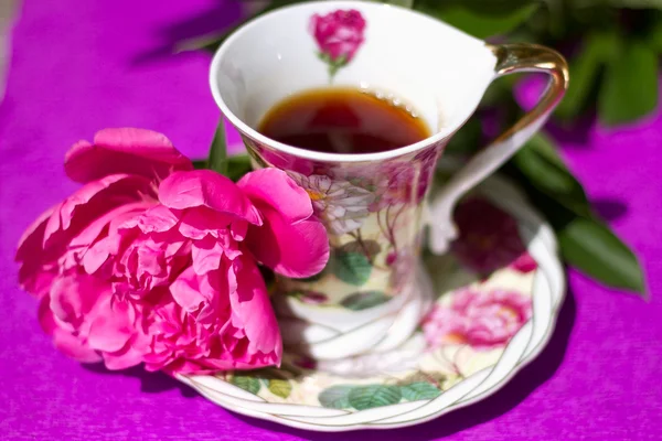 Pfingstrosenblume neben einer Tasse Tee — Stockfoto