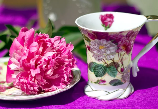 Peônia flor está em um pires ao lado de uma xícara — Fotografia de Stock