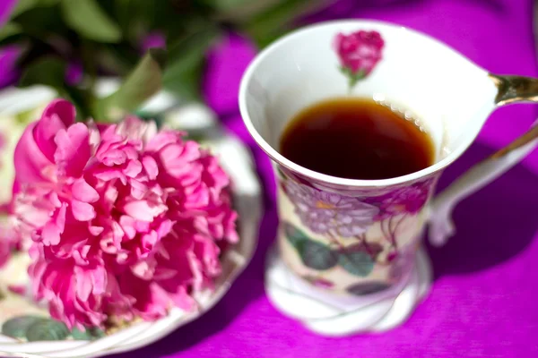 Pfingstrosenblume steht auf einer Untertasse neben einer Tasse Tee — Stockfoto