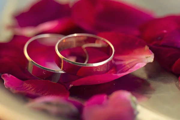 Anéis de casamento e pétalas de rosas — Fotografia de Stock