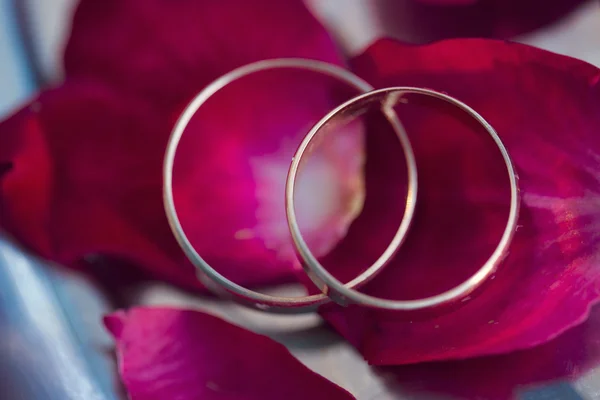 Svatební prsteny a okvětní lístky růží — Stock fotografie