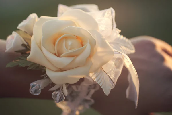 Aan de kant van de bruidsmeisjes van de bloem — Stockfoto