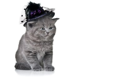 Small cat with hat clipart