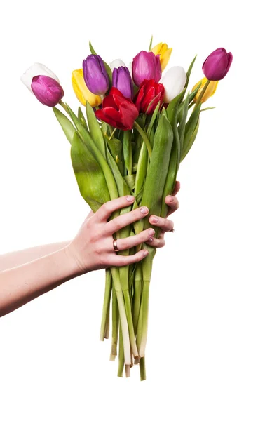 Mulher segura um buquê de tulipas — Fotografia de Stock