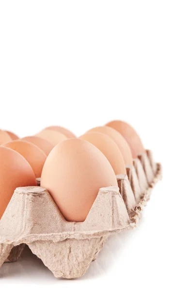 Tray of raw eggs — Stock Photo, Image