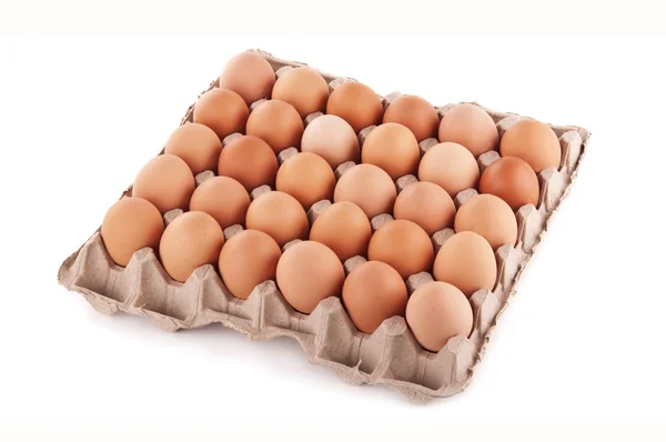 stock image Tray of raw eggs