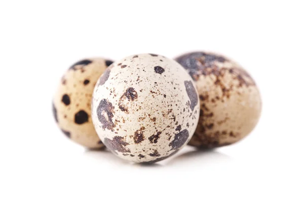 Huevos de codorniz — Foto de Stock