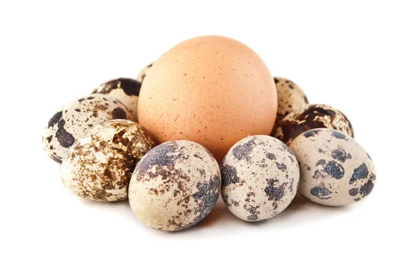 Huevo de gallina y huevos de codorniz — Foto de Stock