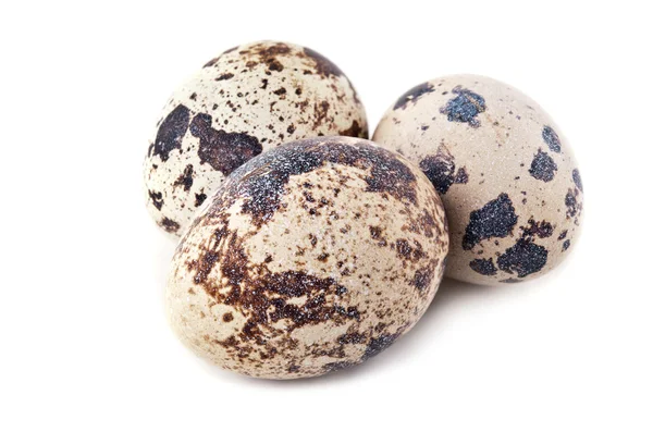 Quail eggs isolated — Stock Photo, Image