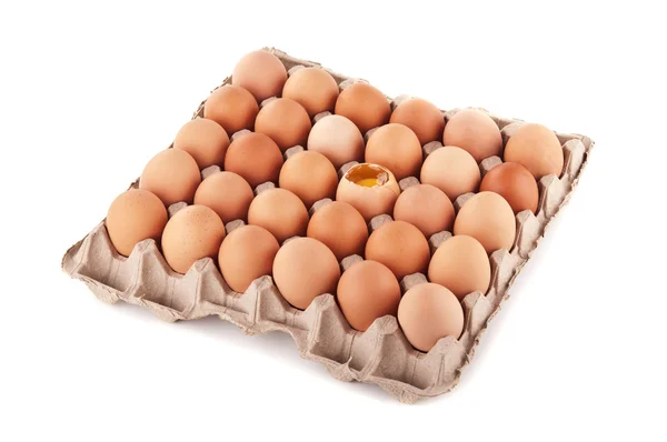 Bandeja de ovos crus — Fotografia de Stock