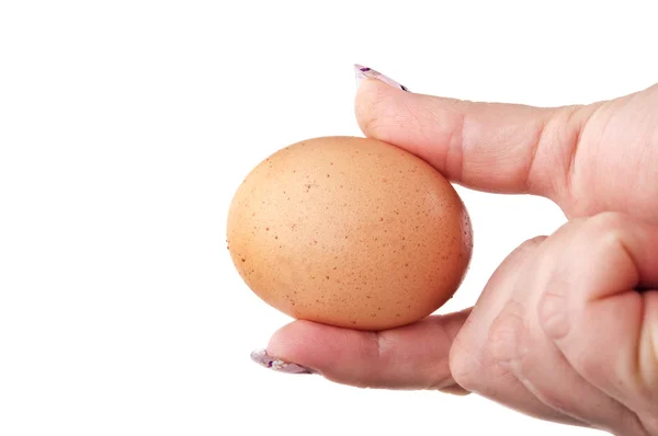 Woman holding an egg — Stock Photo, Image