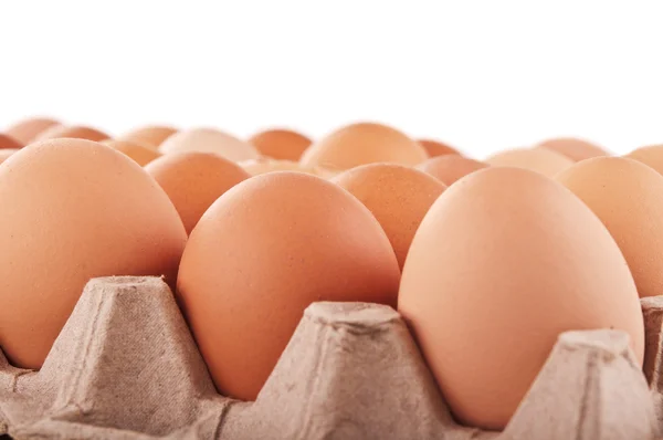Eggs isolated — Stock Photo, Image