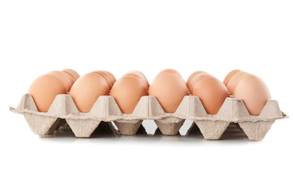 stock image Tray of raw eggs