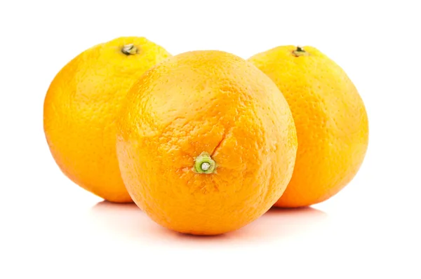 Frische Orangenfrüchte — Stockfoto