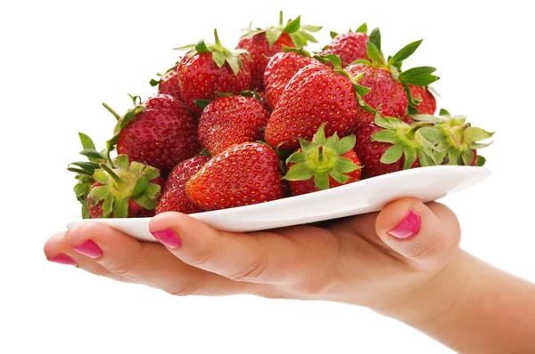 Frau hält Erdbeere in der Hand — Stockfoto