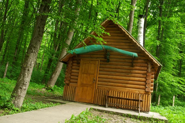 stock image House in the wood