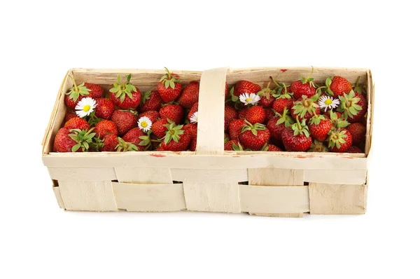 Frische Erdbeere im Korb — Stockfoto