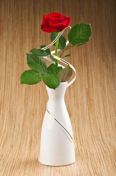 Rosa roja en jarrón blanco — Foto de Stock