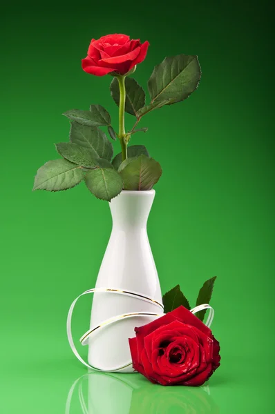 Красные розы в вазе — стоковое фото