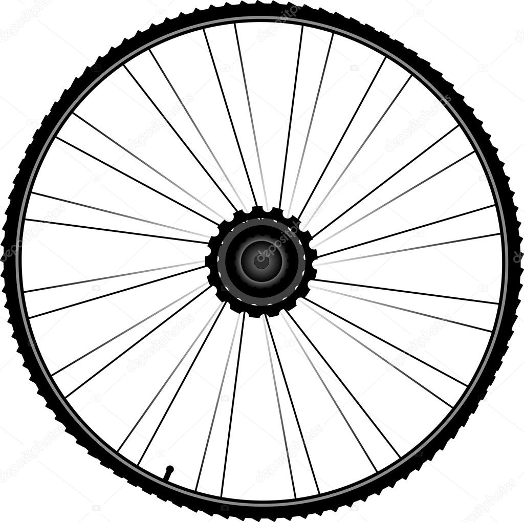 Bike wheel with spokes and tire isolated on white background