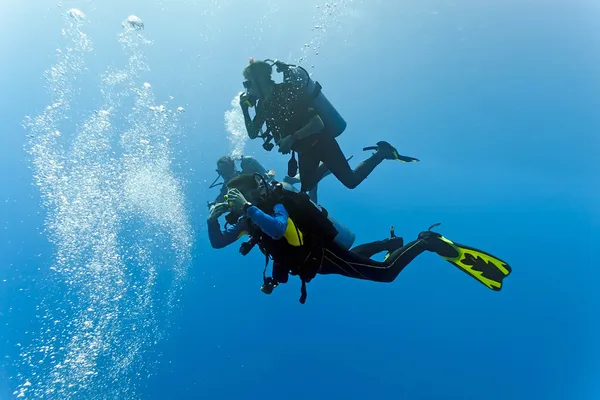 Divers in the blue sea — Stock Photo, Image