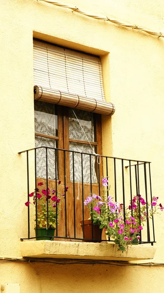 Balcón con macetas y flores —  Fotos de Stock