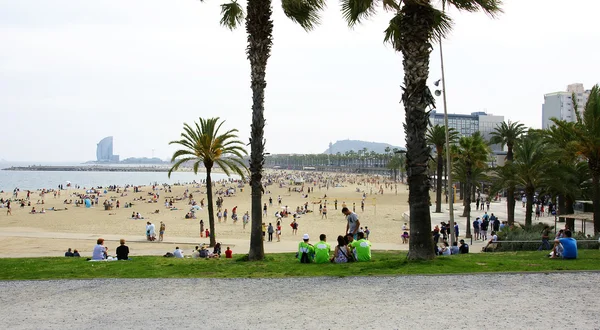 Panoramique de la plage de la Barceloneta — Photo