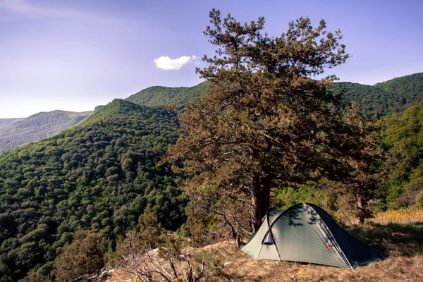 Tente touristique dans les montagnes sauvages de l'Ukraine — Photo