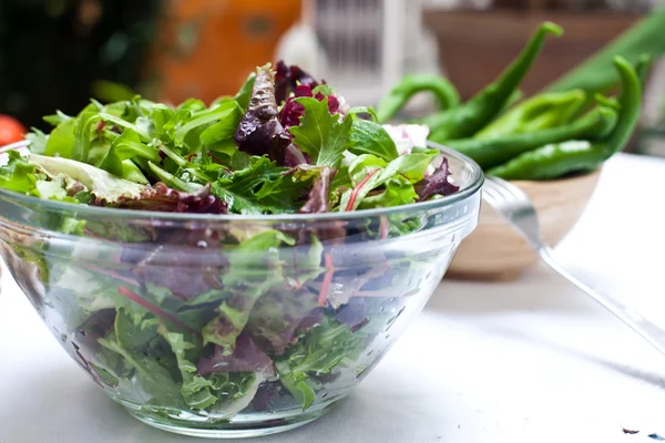 Salad on bowl — Stock Photo, Image