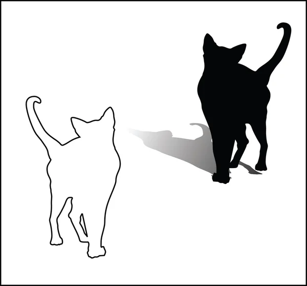 Gato blanco y negro — Vector de stock