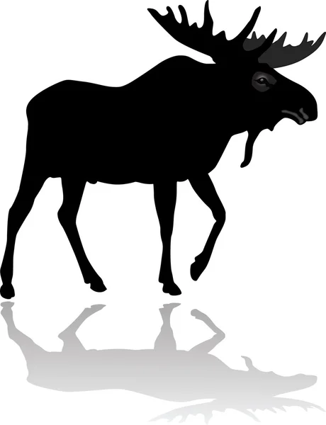 Moose silueta — Stockový vektor