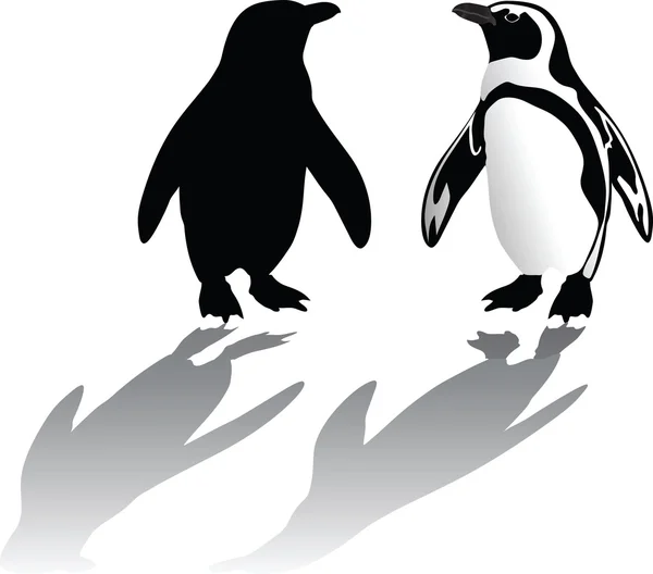 Pinguino — Vector de stock
