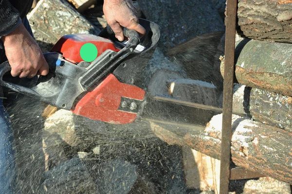 stock image Man with chainsaw cut logs for firewood