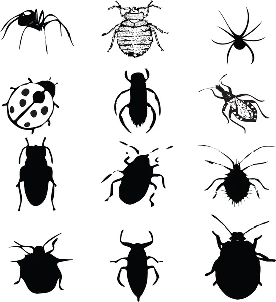 Jeu de bugs — Image vectorielle