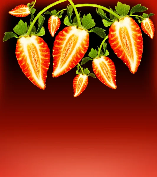 新鲜草莓边框 — 图库照片