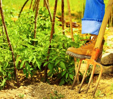 Gardening clipart