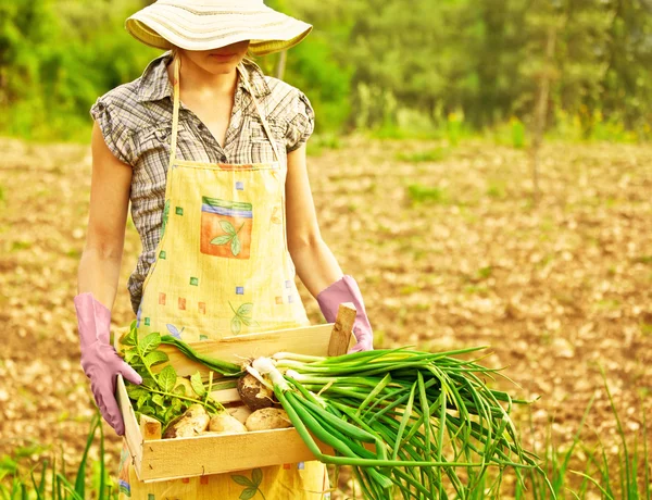Glad trädgårdsmästare arbetar — Stockfoto