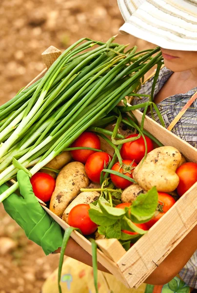 Agricultor que lleva cofre de verduras —  Fotos de Stock