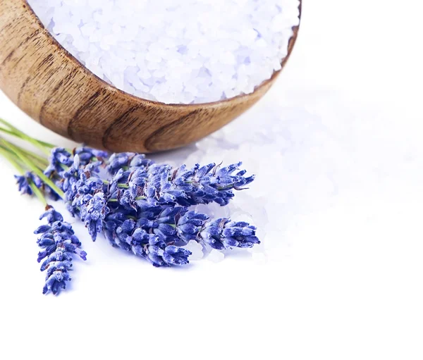Fresh lavender flowers and bowl with salt isolated on white back — Stock Photo, Image