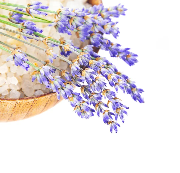Kom met zout en lavendel bloemen geïsoleerd op witte achtergrond — Stockfoto