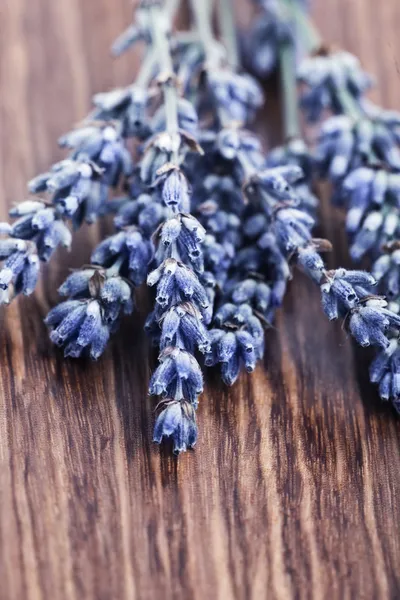 Lavendelblüten isoliert auf Holzgrund — Stockfoto