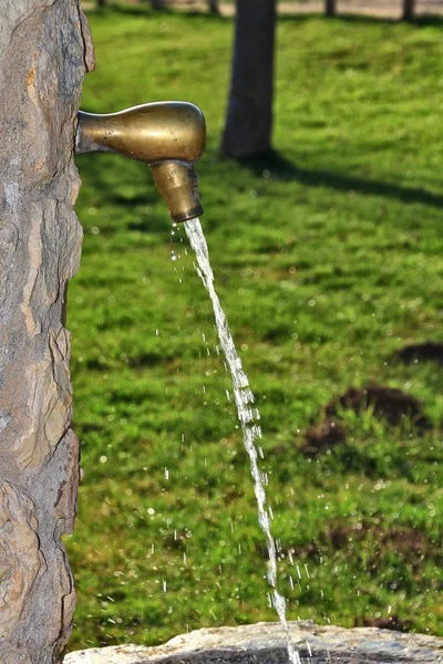 Forrásból jövő-hoz iszik víz Park — Stock Fotó