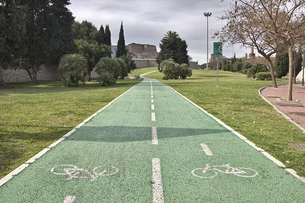 Двухсторонняя велосипедная дорожка в парке — стоковое фото