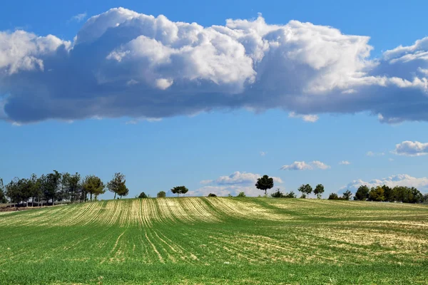Paisagem cultural em perspectiva com nuvens no céu — Fotografia de Stock