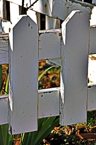 庭の木柵 — ストック写真
