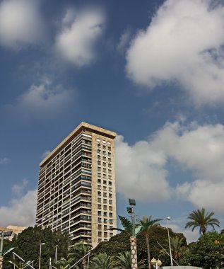 binalar ve palmiye ağaçları alicante şehir İspanya'nın tipik