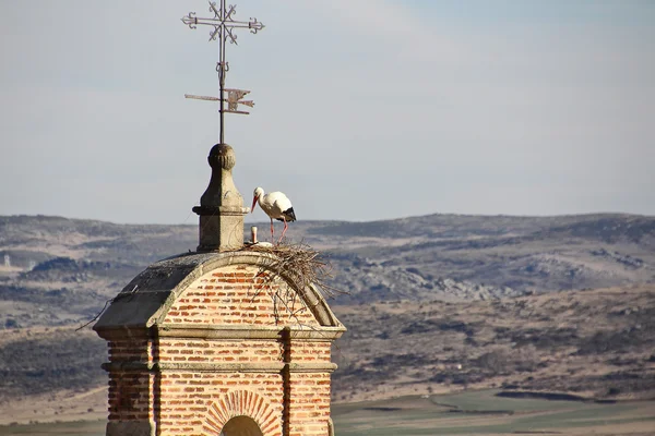 Cigüeña haciendo un nido encima de un campanario — Foto de Stock